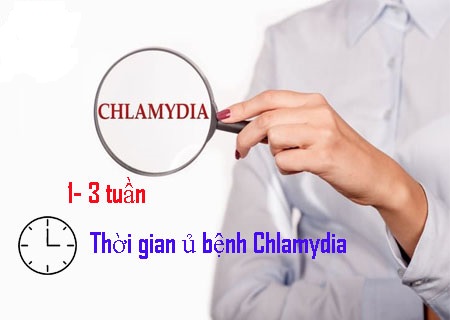 giải đáp thời gian ủ bệnh chlamydia